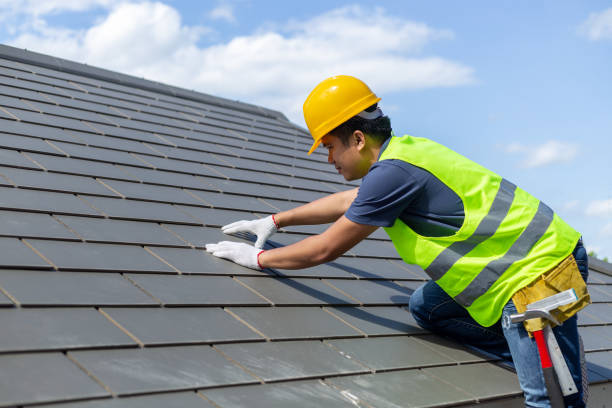 Roof Installation Near Me in Dover, FL