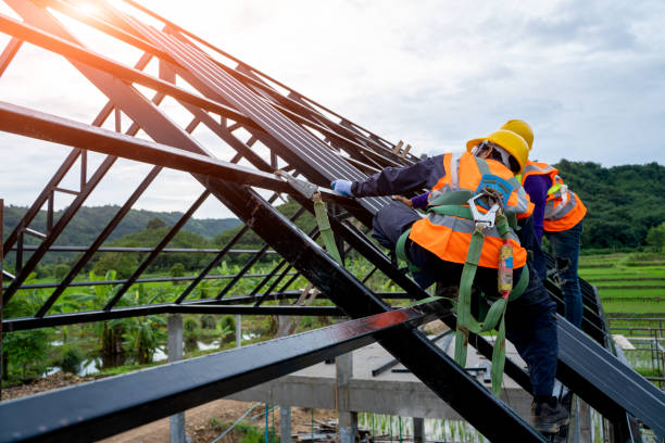 Best Roof Maintenance Services  in Dover, FL