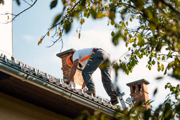 Quick and Trustworthy Emergency Roof Repair Services in Dover, FL