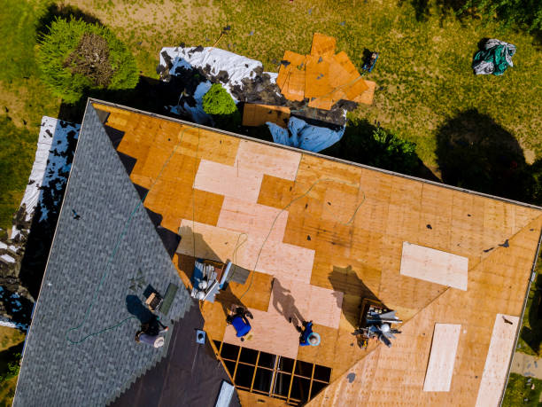 Best Flat Roof Repair Services  in Dover, FL