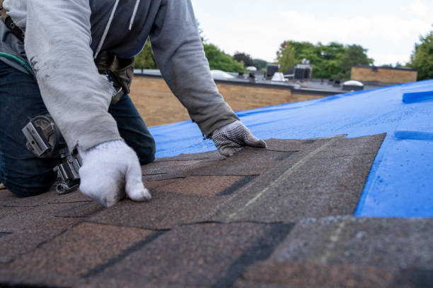 Best Roof Gutter Cleaning  in Dover, FL
