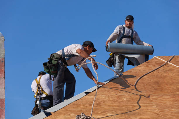 Best Storm Damage Roof Repair  in Dover, FL
