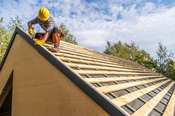 Gutter Installation and Roofing in Dover, FL