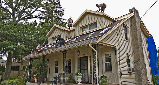 Best Roof Gutter Cleaning  in Dover, FL
