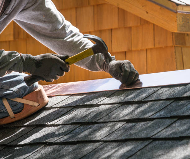 Roof Gutter Cleaning in Dover, FL